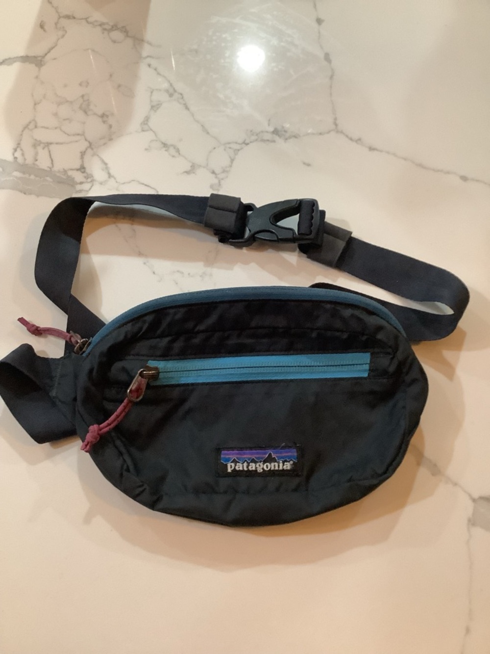 Patagonia Black Belt Bag with Teal Zipper and Purple Logo Accent